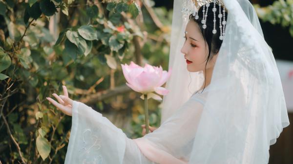 雪柳续集（一梦回柳雪柳）章节在线阅读最近章节