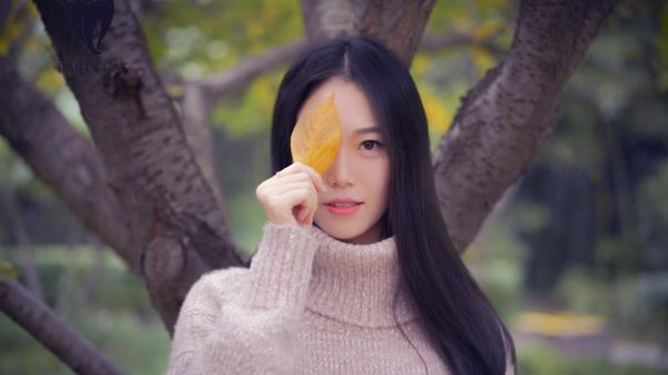宋青青傅洛我给第三十八任老公过喜：前文+后续已完结_宋青青傅洛我给第三十八任老公过喜：前文+后续最新章节列表
