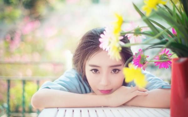苏今夏洛言琛完结篇（洛言琛苏今夏）全篇免费版在线+无障碍结局