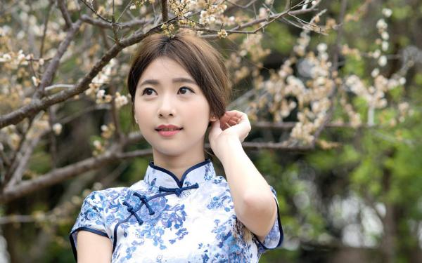 凌彻江幼安：+番外+后续在线阅读向阳花木易为春