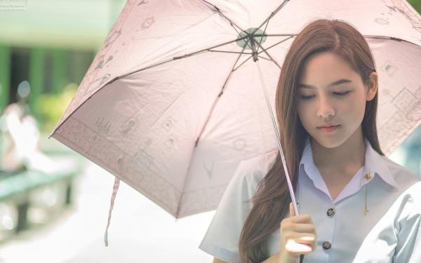 人面桃花长相忆：番外+结局最新小说（阮雾梨闻砚辞）全文阅读