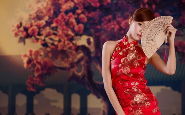 入狱三年后，她转身嫁绝嗣太子爷全文阅读（白寄瑶白宇辰）最新章节_入狱三年后，她转身嫁绝嗣太子爷全文阅读