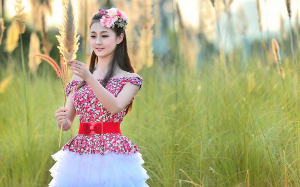 周宴京林夕雾小说无删减+后续（雾散缘尽情连天）畅享阅读