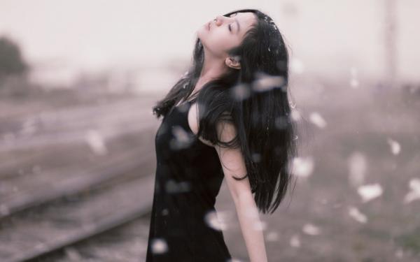 秦见鹿的小说我在回忆里万劫不复：高分完本秦见鹿秦临渊谢梵声全文在线阅读