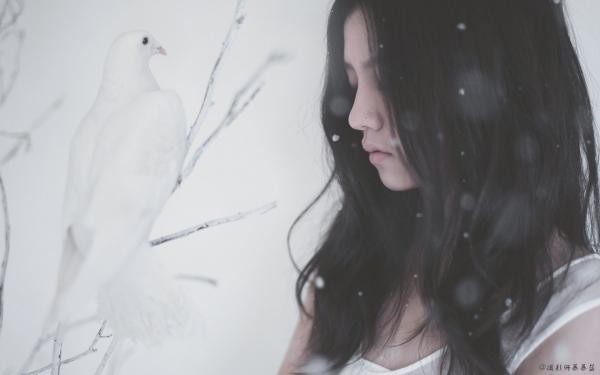 斯澈栀婳：结局+番外免费品鉴 栀婳斯澈：结局+番外评价五颗星