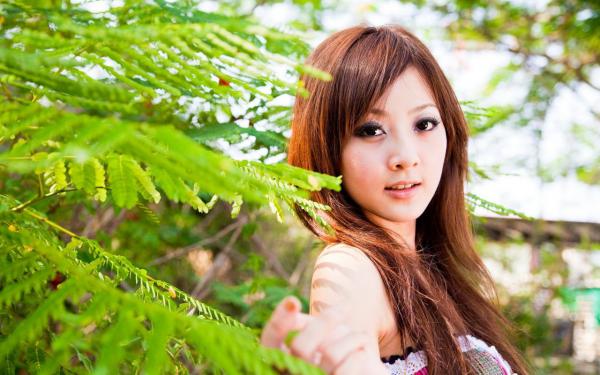 穿成侯府通房丫鬟后，我摆烂了最新小说（秋锦陆明朗）全文阅读